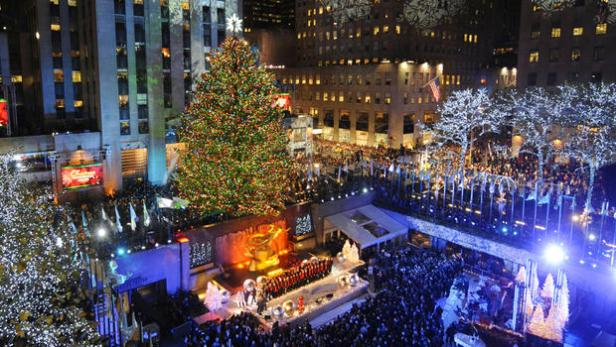 xmas_tree_AP111130065563