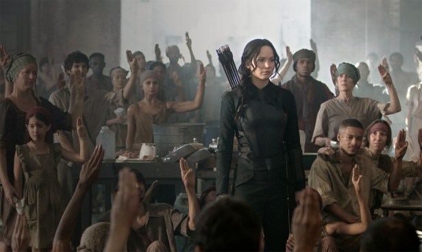 mockingjay image2