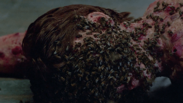 f1110243aa574f878db741343d45de68